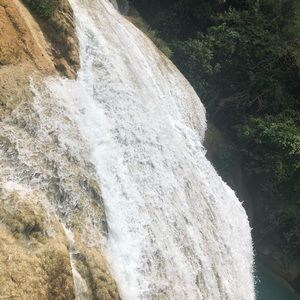 Meet your Posher, Fabiola